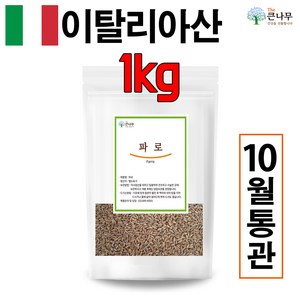 The큰나무 이탈리아산 고대곡물 파로 고대 통곡물 파로쌀 엠머 밀, 1kg, 1개