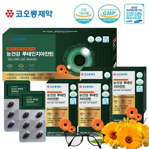 눈건강 루테인 지아잔틴(500mg x 120캡슐)7종복합기능성, 120정, 1개