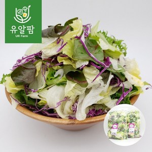 의령농산 유알팜 당일채소 당일제조 당일발송 샐러드1kg 골라담기 9종, 01_혼합 믹스 샐러드 1kg, 1개