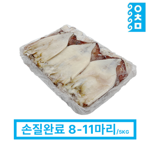 먹기편한 선동 냉동 할복오징어 5kg(8-11마리) 오징어볶음 박스 도매 식당용 업소용, 8-11미, 1개