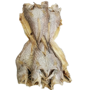 [부산자갈치시장] 오동통 살이 꽉찬 나막스10미 (왕대 온마리 800g 전후/ 미) 완전 건조 홍메기 [반건조로 중량을 늘인 제품이 아닙니다], 10개