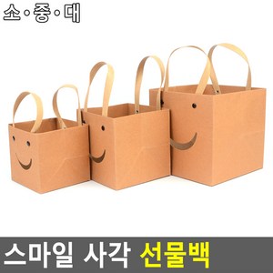 정 사각 흰색 크라프트 화분 선물 포장 쇼핑백 종이 가방 10cm 12cm 15cm, 소 - 화이트