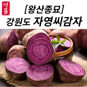 (2월14일 출고) 강원도 왕산종묘 자영 자색 씨감자 보라색 감자씨 즙용 분감자용 텃밭에 심는 씨감자, 1박스, 3kg