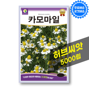 캐모마일 씨앗 Chamomile 카모마일 종자 허브 씨앗 허브키우기 종자, 1개