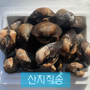 싱싱하고 알이 꽉찬 피꼬막 2kg, 1개