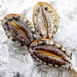 완도 청산 활전복 수산물 선물용 1kg 특대 10미 큰전복 12미 대전복 14미, 7~8미+부직포가방