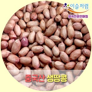 이슬처럼 중국산 생땅콩 햇땅콩 1kg (2024년산), 1개