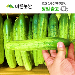 < 바른농산 > 국내산 오이 다다기오이 백오이 못난이 상품 1박스(35~45개), 35~45개, 1개