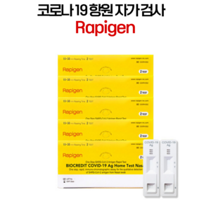 래피젠 코로나 자가 진단 검사키트 5박스 10개입, 5박스(10개입), 5개
