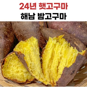 해남 황금 밤고구마, 1개, 3kg(한입)