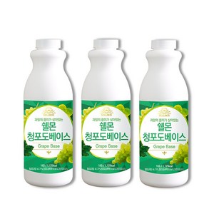 쉘몬 과일농축액 과육타입 베이스 1kg 3종(자몽 레몬 청포도), 3개