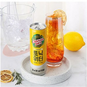 캐나다드라이 토닉워터 300ml, 48개