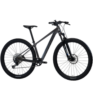 알톤스포츠 인피자 XZ9 29인치 MTB 카본 자전거 시마노 데오레 12단 유압식, 15인치(신장155~175), 스모크블랙, 1개