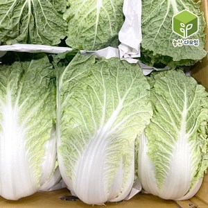 국내산 특 알배기 쌈배추 12통 8kg, 8kg(12개), 1개