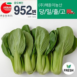 <해돋이농산> 국내산 청경채 특품 4kg 내외 1박스