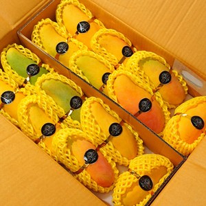 [과즙이뚝뚝] 찐하고 달아요 무지개 망고, 1개, 2kg