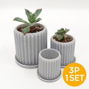 세로줄 미니화분 다육이 선인장 반려식물 집들이 개업 선물 인테리어 용품 3P, 1세트, 그레이