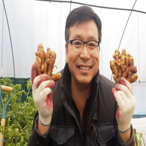 시골팜 생산자직발송 강황/강황/강황씨앗/강황종자(특) 심는법 판매자 팁 1kg, 시골팜 생산자직발송 강황종자(특) 1kg, 1개