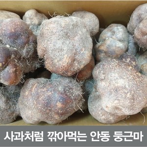 24년산 안동 둥근마 상품 5kg (정직을 배달합니다), 둥근마 중품2kg