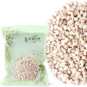 동의한재 국산 율무 의이인, 300g, 1개