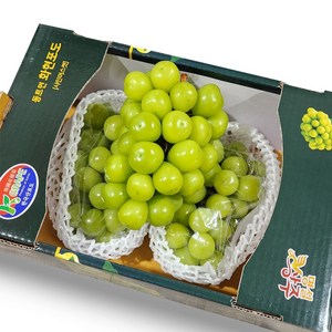 프리미엄 샤인머스켓 고당도 망고포도 선물세트, 샤인머스켓 2kg (2-3수), 1박스