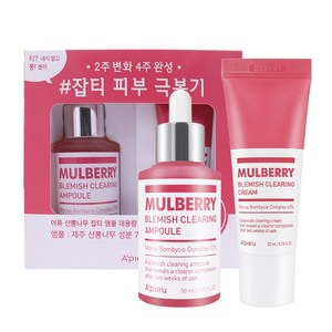 어퓨 산뽕나무 잡티 앰플 50ml + 크림 22ml 세트, 1세트