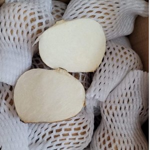 베트남 히카마 ( JICAMA ) 얌빈 YAM BEAN CU DAU 2 kg, 2kg, 1개