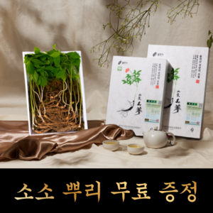 산양산삼 산양삼 산삼 7년근 제일, 10 뿌리 + 소소 5뿌리, 1개