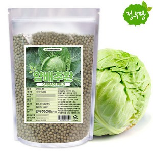 양배추환 300g (001100), 1개