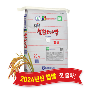 당일도정 2024년 햅쌀 GAP인증 두루웰 철원오대쌀 한탄강 맑은 물로 재배한 쌀. 동철원농협 정품, 10kg, 1개