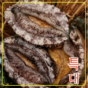 완도전복 왕특대 직거래 산지직송 산소포장 선물 세트, 1kg (특대 10-11미), 1박스