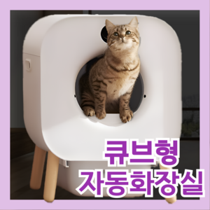 링클캣 큐브형 고양이자동화장실 스마트 전동 화장실 자동 탈취, 1개, 큐브형 고양이 화장실