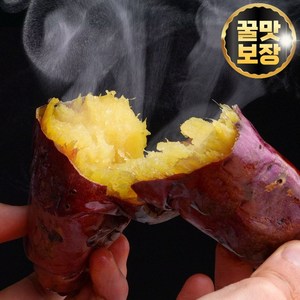 힐템 꿀당도 황토고구마 영암고구마 토울고구마, 특상, 1박스, 5kg