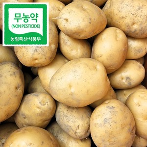 2024년 노지 햇 감자 김제 부안 왕특 요리용 3kg, 1개, 왕특 3Kg