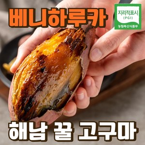 (특상)베니하루카 밤 호박 꿀고구마, 1개, 5kg(특상)