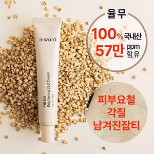 [율무성분 58%] 인워드 율무 기미잡티 스팟 미백 크림 50ml, 1개