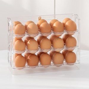 계란 트레이 보관함 30구, 계란보관함, 1개