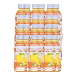 RFC 저온살균 망고 주스 100%, 24개, 350ml