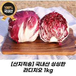 [산지직송] 국내산 싱싱한 라디치오, 1kg(3통), 1개