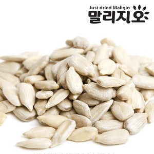 말리지오 해바라기씨, 1개, 1kg