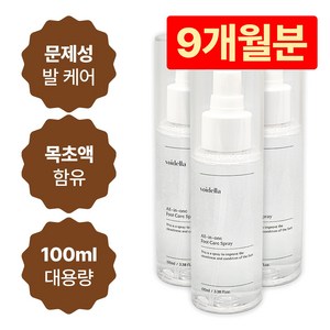 보이델라 목초액 올인원 풋 스프레이 100ml 대용량 3개(9개월), 3개, 1개입