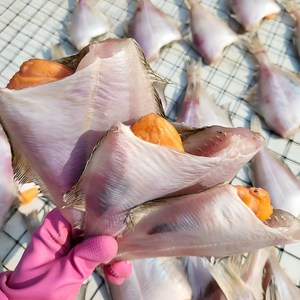 [산지직송] 동해안 반건조 참가자미 자연해풍 가자미, 1개, 중 12미