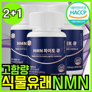 자연새긴 식물성 NMN 엔엠엔 파이토 큐 식약처 HACCP, 3개, 60정