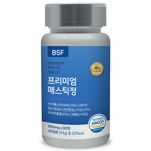 BSF 프리미엄 매스틱정 600mg x 90정, 1개, 54g