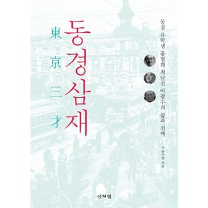 동경삼재:동경 유학생 홍명희 최남선 이광수의 삶과 선택, 산처럼, 류시현 저