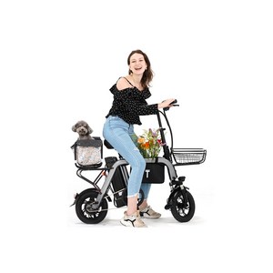 미니 여성 출퇴근 12인치 PAS전용 저렴한 소형 2인승 48V 350W 전동 전기자전거, 화이트, 하이텐강