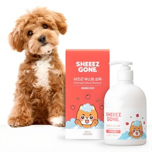 쉬즈곤 저자극 부스트 강아지 샴푸 애플블라썸향, 500ml, 1개