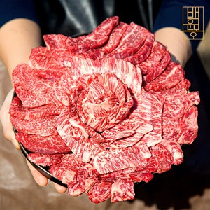 1++한우 특수부위 모둠 구이세트 600g/1kg, 1++한우 특수부위 모둠600g, 1세트