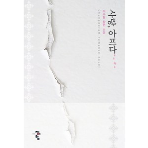 사랑 아프다:이수림 장편소설, 청어람, 이수림 저