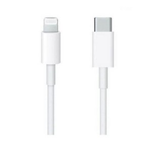 Apple 정품 Lightning-C타입 충전 케이블, 1m, 1개